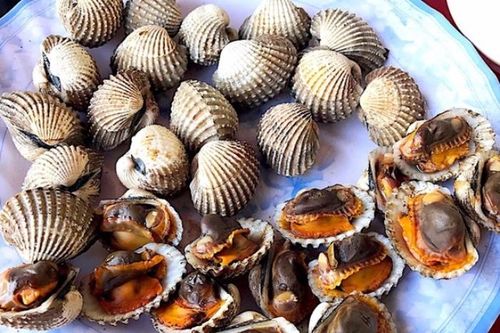 Muốn thưởng thức món sò huyết danh bất hư truyền của Việt Nam, bạn nên đến nơi này!