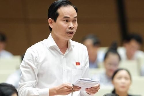 Đại biểu Quốc hội: Năng lực cạnh tranh của các doanh nghiệp còn hạn chế