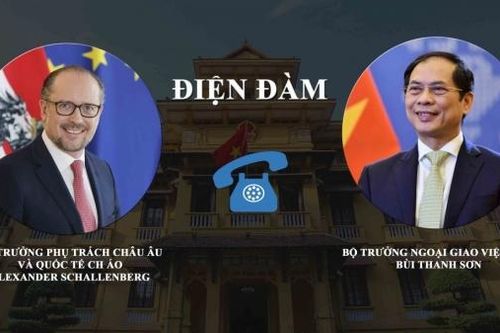 Việt Nam đề nghị Chính phủ Áo ủng hộ, thúc đẩy Quốc hội sớm phê chuẩn Hiệp định EVIPA