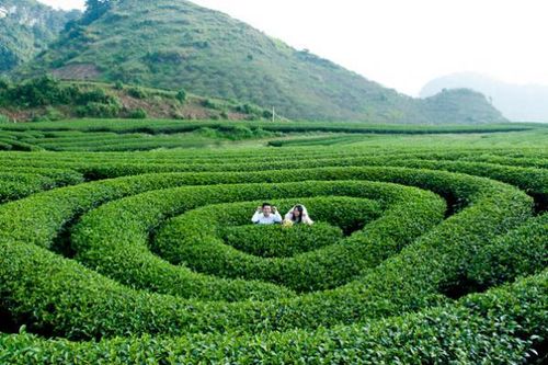 Những điểm du lịch không nên bỏ qua ở Thái Nguyên