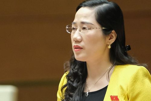'Quân xanh, quân đỏ', xã hội đen lót đường đấu giá đất, rút ruột tài sản