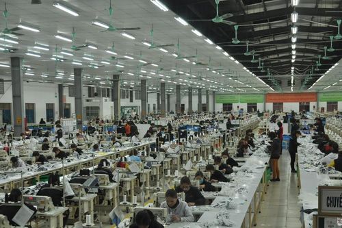 Nghệ An gặp gỡ trực tuyến Tham tán thương mại Việt Nam tại Hàn Quốc, xúc tiến xuất khẩu