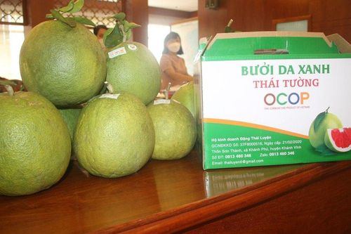 Khánh Hòa có 62 sản phẩm tham gia chương trình OCOP năm 2022