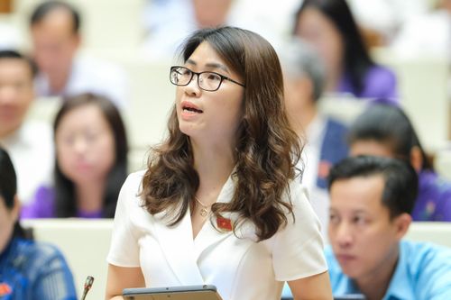 ĐBQH: Tại sao cứ tăng kinh phí, học phí đào tạo?
