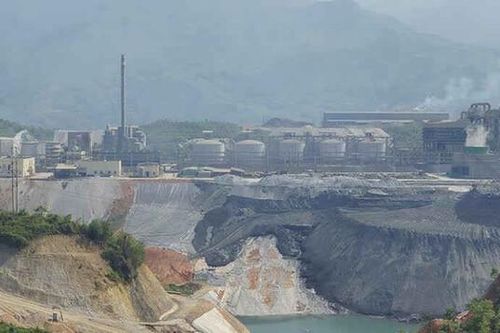 Lào Cai: Công ty CP DAP số 2 Vinachem khiến cây của người dân chết hàng loạt