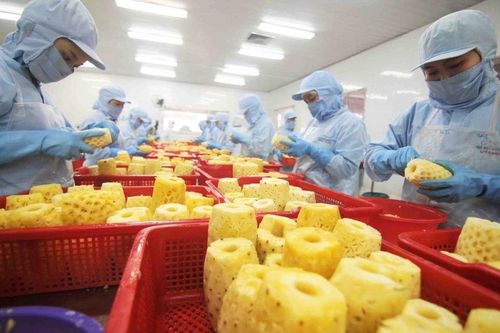 Kinh tế vĩ mô ổn định, hoạt động sản xuất kinh doanh tiếp tục khởi sắc