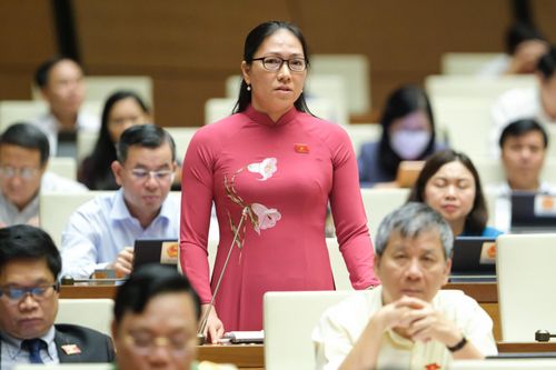 Đại biểu Quốc hội đề xuất tạm hoãn tăng học phí trong năm học tới