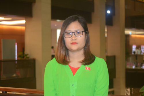 ĐBQH Hà Ánh Phượng: Lịch sử vẫn nên là môn học bắt buộc