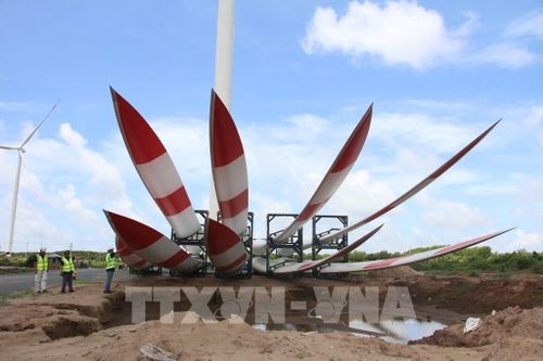 Bến Tre hài hòa lợi ích khi triển khai các dự án điện gió