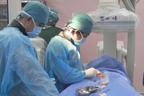Ghép tim trẻ em, hy vọng sống cho nhiều bệnh nhi