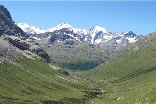 Tuyết tan chảy, đỉnh Alps đang 'xanh hóa' mạnh mẽ