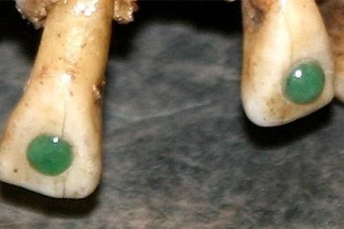 Phát hiện mới về kiến thức nha khoa của người Maya cổ đại