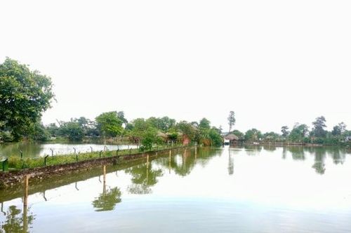Tỉnh Thanh Hóa cần làm rõ trách nhiệm địa phương trước cái chết bé trai 4 tuổi tại trang trại hoạt động 'chui' nhiều năm