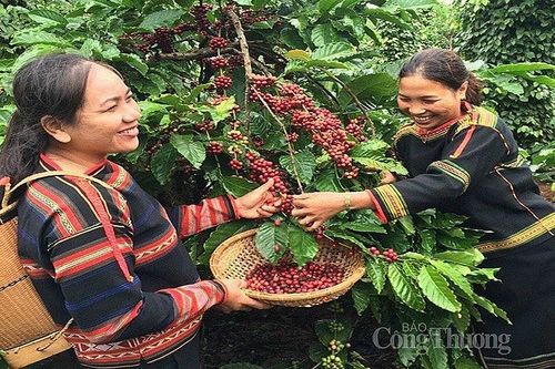 Khởi động Dự án quản lý cảnh quan bền vững tại Lâm Đồng và Đắk Nông
