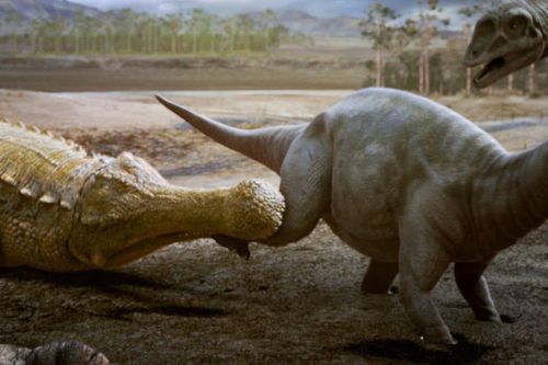 Chân dung loài thủy quái 'ghê gớm' khiến khủng long khiếp sợ khi đối đầu