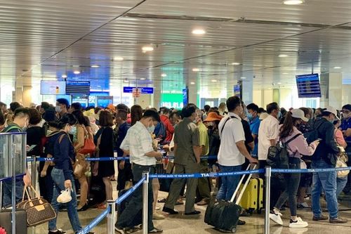 Thông tin về nghẽn hệ thống làm thủ tục tại sân bay Tân Sơn Nhất