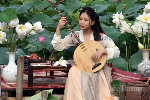 Sôi động dịch vụ chụp ảnh cùng sen Hồ Tây