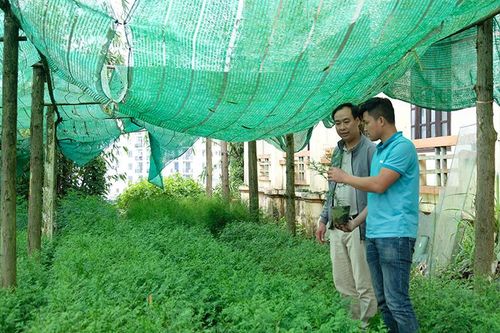 Thăm Vườn quốc gia Hoàng Liên