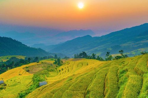 Mùa gặt ở Phương Độ - Hà Giang