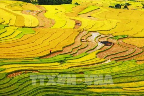 Du lịch miền Bắc tháng 6 ở đâu?