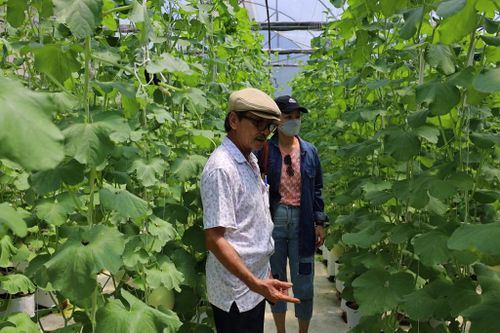 Bộ trưởng Lê Minh Hoan: Điều chỉnh sản xuất nông nghiệp theo tín hiệu thị trường