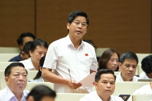 ĐBQH: Nông dân đã nghèo lại đeo cái khổ vì nạn phân bón giả, kém chất lượng