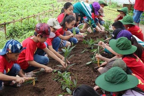 Phụ huynh nên cho con học kỹ năng gì trong hè?