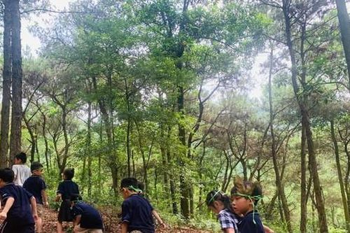 Nở rộ trại hè: 'Đắt khách' những khóa dạy kĩ năng sinh tồn, tham quan dã ngoại