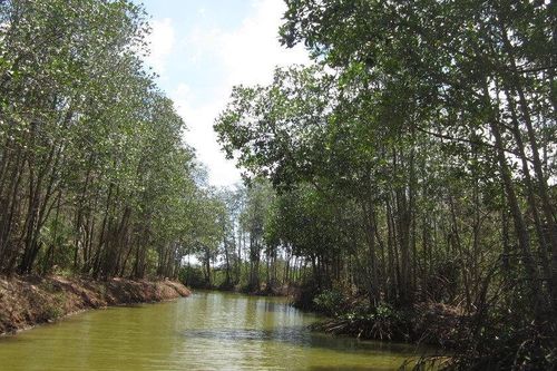 Ba giải pháp bảo tồn biển trong phát triển kinh tế biển xanh