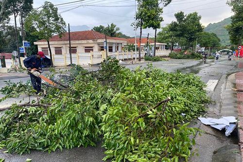 Mưa đá, lốc xoáy làm gãy đổ cây xanh ở huyện Khánh Sơn