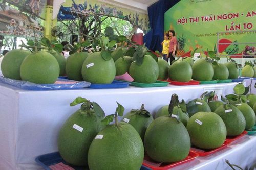Tìm đầu ra cho 4,1 triệu tấn trái cây phía Nam