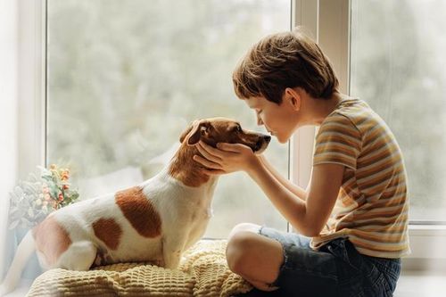 Bé trai bị cả đàn giun làm tổ trong mắt do ăn ngủ cùng chó cưng