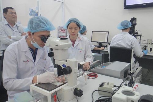 Đại học Quốc gia TP Hồ Chí Minh tiếp tục giữ vững vị trí Top 801-1.000 các trường đại học tốt nhất thế giới năm 2023