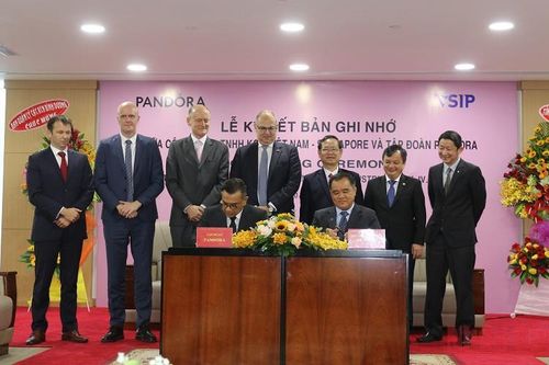 Thông qua Đồ án Quy hoạch chung xây dựng tỷ lệ 1/5000 khu công nghiệp Việt Nam-Singapore 3