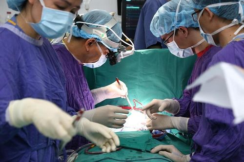 Việt Nam đã triển khai thành công 6.550 ca ghép tạng