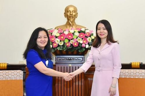 Việt Nam hoan nghênh doanh nghiệp Hoa Kỳ đầu tư trong các lĩnh vực năng lượng tái tạo và kinh tế số