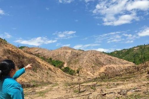 Phó Trưởng Ban Dân tộc HĐND tỉnh Quảng Trị bị cách chức tất cả chức vụ trong Đảng