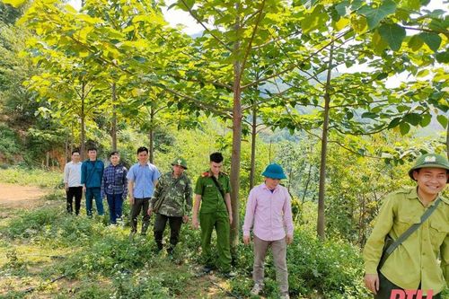 Tặng Bằng khen cho các tập thể, cá nhân trong thực hiện dịch vụ môi trường rừng