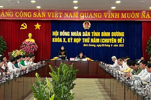 Thông qua Quy hoạch chung xây dựng tỷ lệ 1/5000 Khu công nghiệp Việt Nam – Singapore III