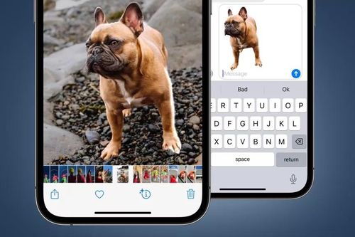 Apple âm thầm mang tính năng như Photoshop vào iOS 16