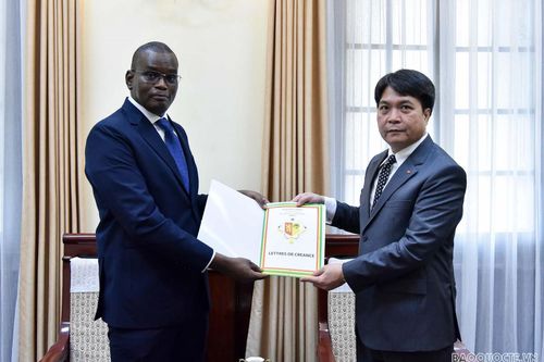 Việt Nam tiếp nhận bản sao Thư ủy nhiệm bổ nhiệm Đại sứ Senegal