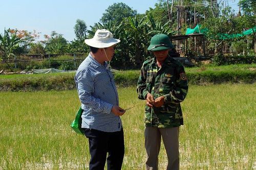 Đẩy nhanh tiến độ, khép kín sản xuất vụ hè thu