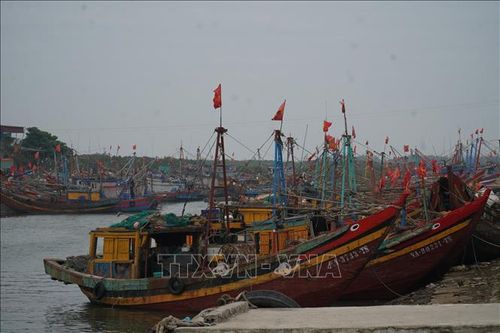 Nhiều chủ tàu 67 gặp khó trong thanh toán tiền bảo hiểm
