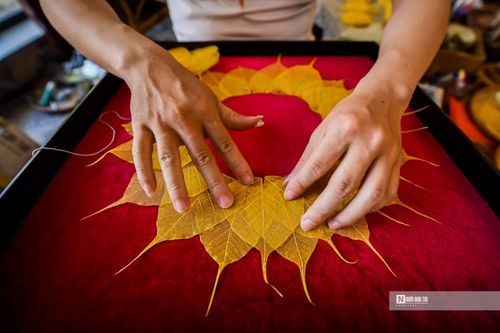 Độc đáo tranh làm từ lá bồ đề