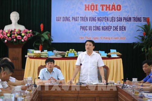 Hòa Bình hình thành vùng sản xuất hàng hóa theo tiêu chuẩn VietGAP