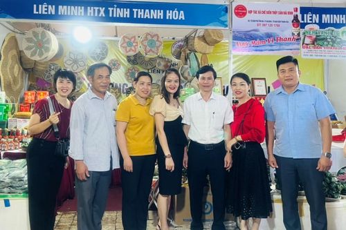 3 gian hàng của Liên minh HTX tỉnh Thanh Hóa tham gia hội chợ xúc tiến thương mại cho các HTX Coop-Expo 2022