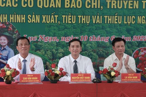 Huyện Lục Ngạn: Thúc đẩy xúc tiến thương mại, tạo điều kiện tiêu thụ trái vải