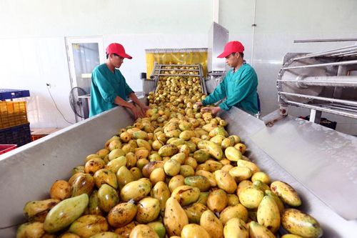 Để không còn 'giải cứu'