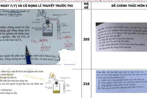 Lùm xùm đề thi môn Sinh tốt nghiệp THPT: Trách nhiệm của Bộ GD&ĐT ở đâu?