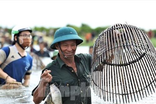 Ngàn người ở Hà Tĩnh 'đội nắng' vác nơm, lưới xuống đầm bắt cá cầu may